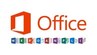 What You’ll Learn in the Microsoft Office Course